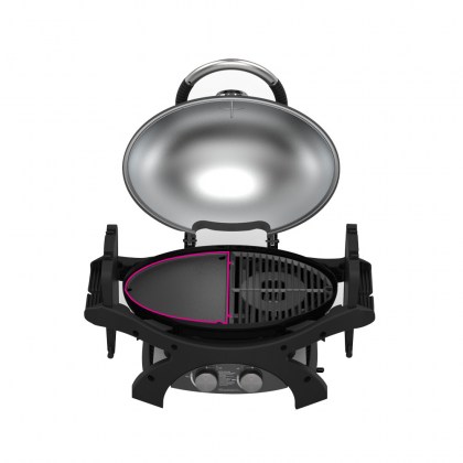 Pit Boss 2 Burner Portable Gas Grill - Griddle