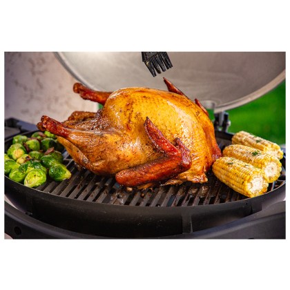 Pit Boss Portable Gas Grill Sportsman 2 Grey - 30mb, with manifold kit