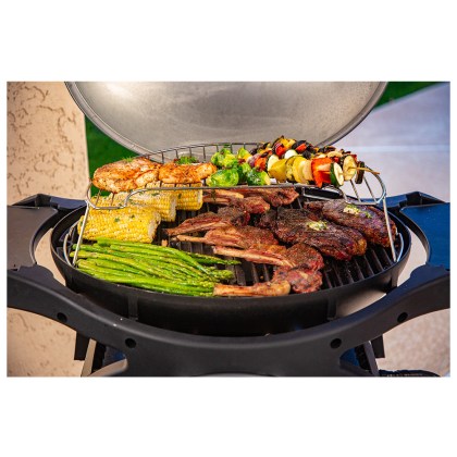 Pit Boss Portable Gas Grill Sportsman 2 Grey - 30mb, with manifold kit