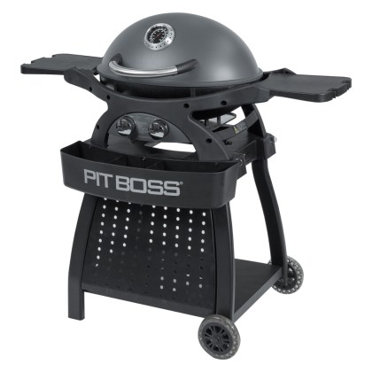 Pit Boss Portable Gas Grill Sportsman 2 Grey with Cart Promotion