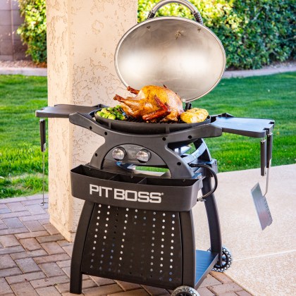 Pit Boss Portable Gas Grill Sportsman 2 Grey with Cart Promotion