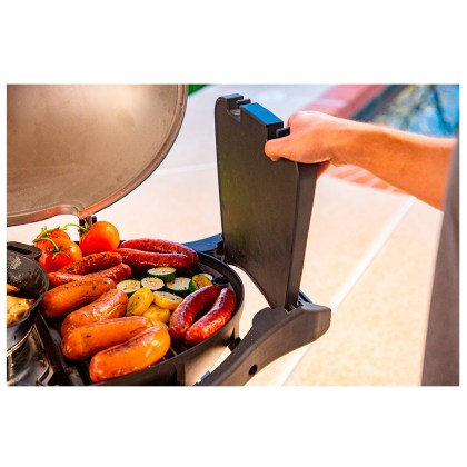 Pit Boss Portable Gas Grill Sportsman 2 Grey with Cart Promotion