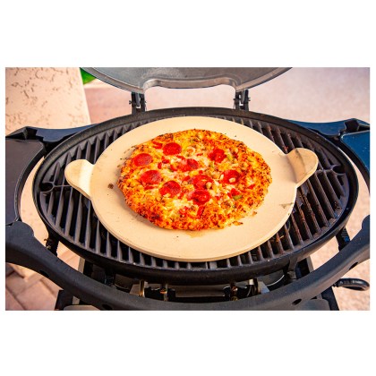 Pit Boss Portable Gas Grill Sportsman 2 Grey with Cart Promotion