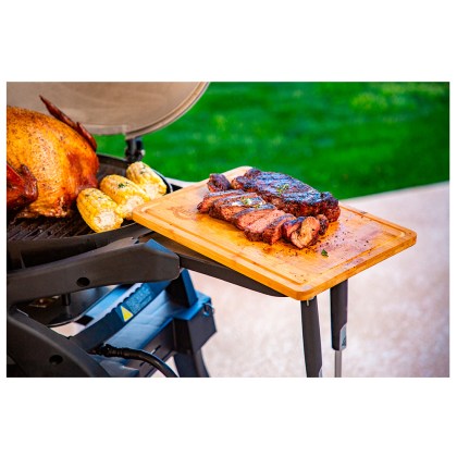 Pit Boss Portable Gas Grill Sportsman 2 Grey with Cart Promotion