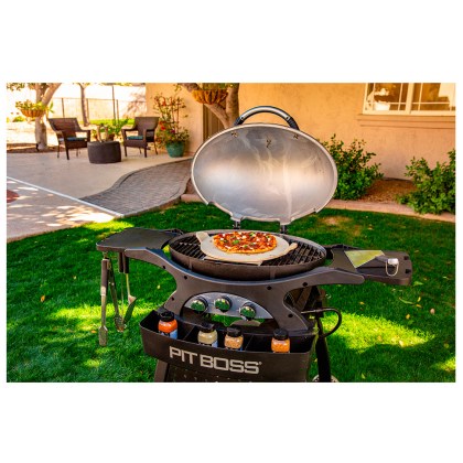 Pit Boss Portable Gas Grill Sportsman 3 Grey with Cart Promotion