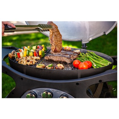 Pit Boss Portable Gas Grill Sportsman 3 Grey  (30mb, w/ manifold kit)