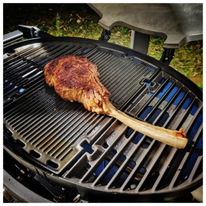 Pit Boss 3 Burner Portable Gas Grill - Center Griddle